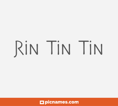 Rin tin tin